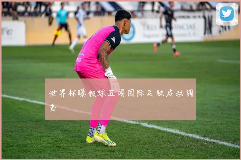 世界杯曝假球丑闻国际足联启动调查