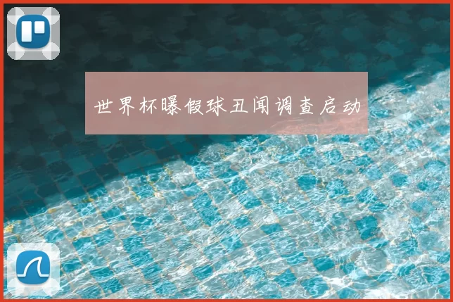 世界杯曝假球丑闻调查启动