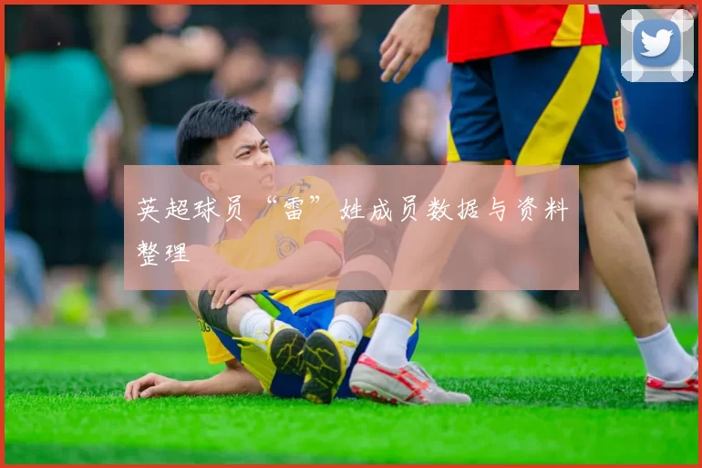 英超球员“雷”姓成员数据与资料整理