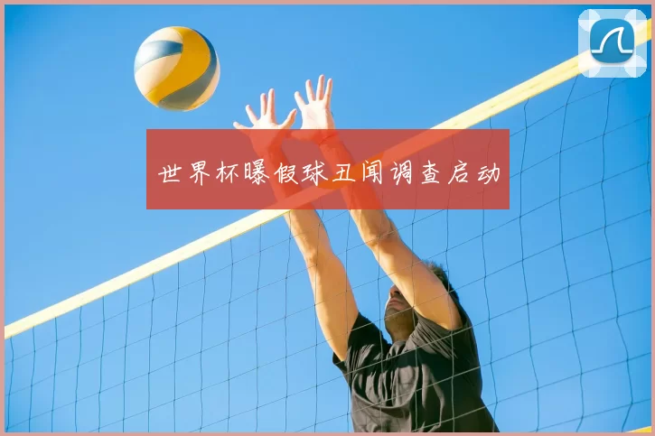 世界杯曝假球丑闻调查启动