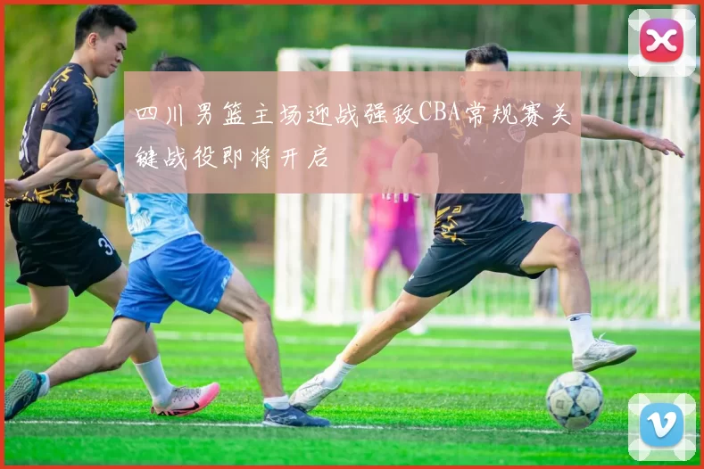 四川男篮主场迎战强敌CBA常规赛关键战役即将开启