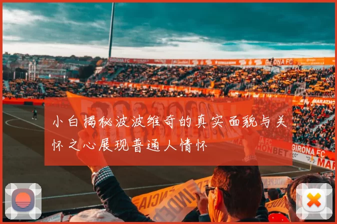小白揭秘波波维奇的真实面貌与关怀之心展现普通人情怀