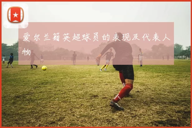 爱尔兰籍英超球员的表现及代表人物