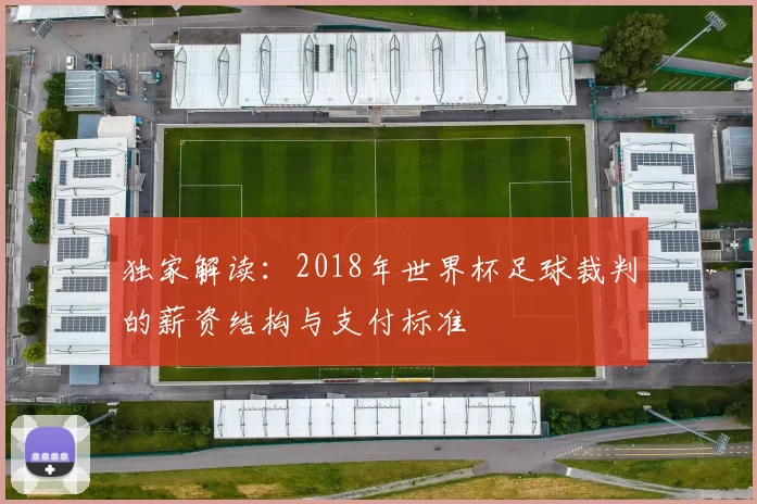 独家解读:2018年世界杯足球裁判的薪资结构与支付标准