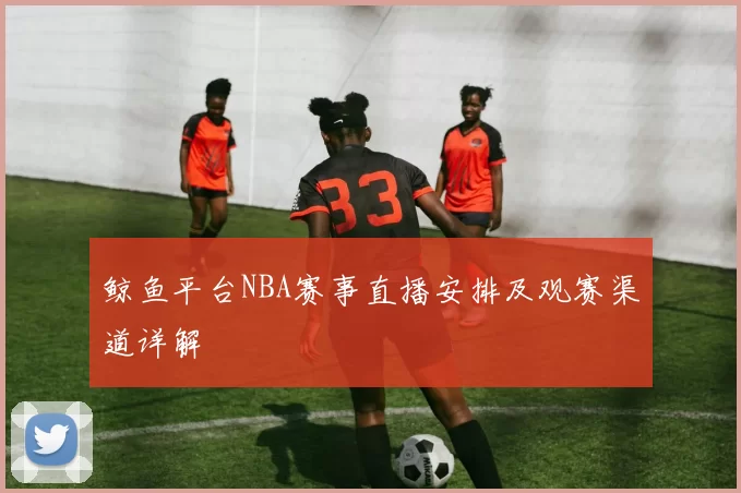鲸鱼平台NBA赛事直播安排及观赛渠道详解