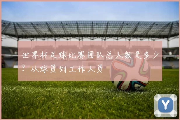 世界杯足球比赛团队总人数是多少？从球员到工作人员