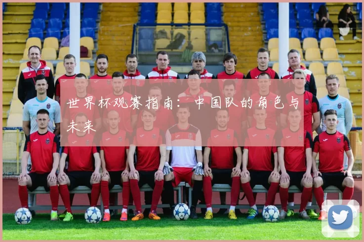 世界杯观赛指南:中国队的角色与未来