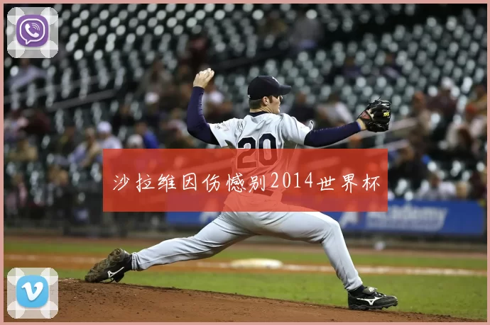 沙拉维因伤憾别2014世界杯