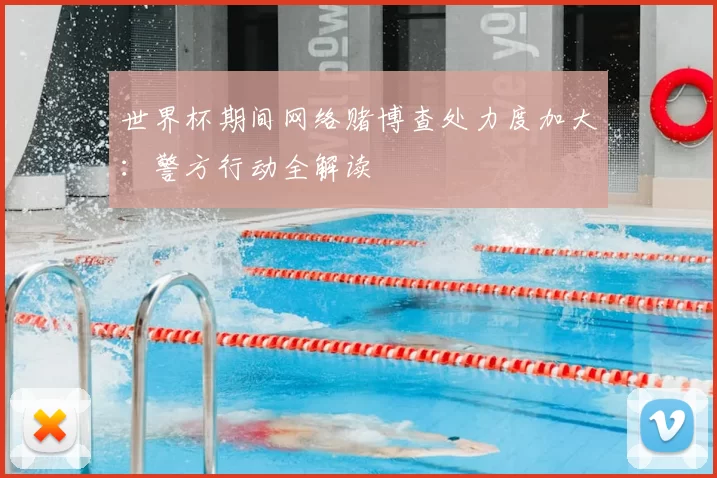 世界杯期间网络赌博查处力度加大：警方行动全解读