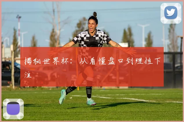 揭秘世界杯：从看懂盘口到理性下注