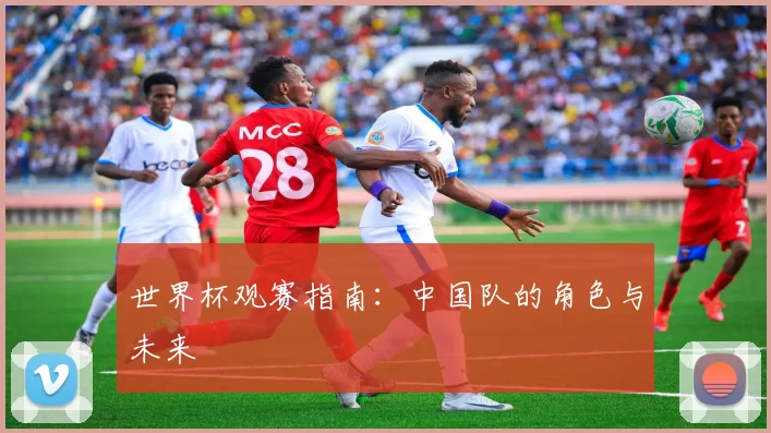 世界杯观赛指南:中国队的角色与未来