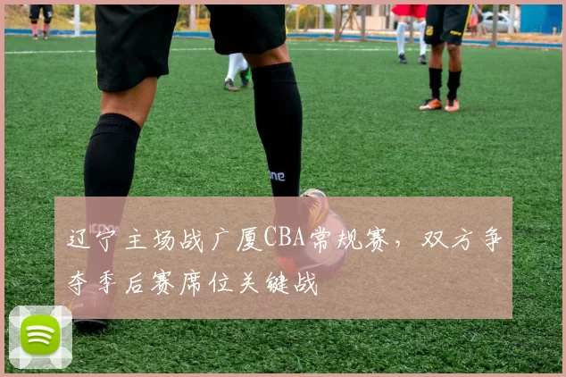 辽宁主场战广厦CBA常规赛，双方争夺季后赛席位关键战