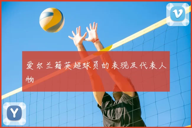 爱尔兰籍英超球员的表现及代表人物