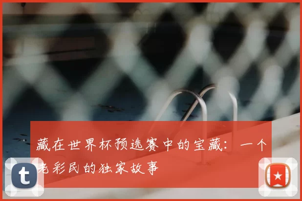 藏在世界杯预选赛中的宝藏：一个老彩民的独家故事