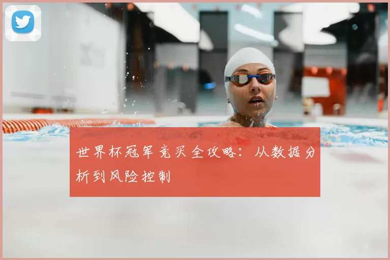 世界杯冠军竞买全攻略：从数据分析到风险控制