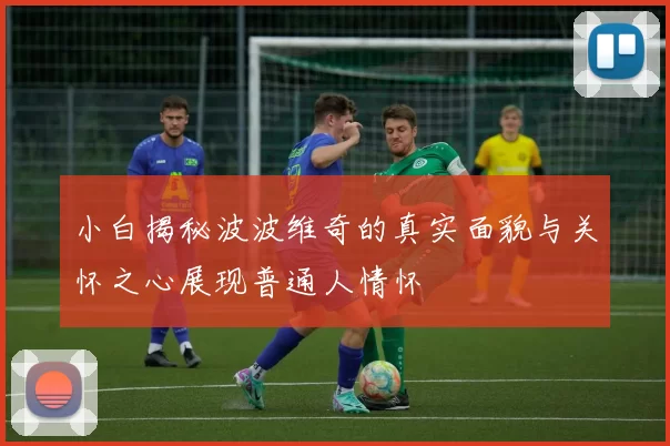 小白揭秘波波维奇的真实面貌与关怀之心展现普通人情怀